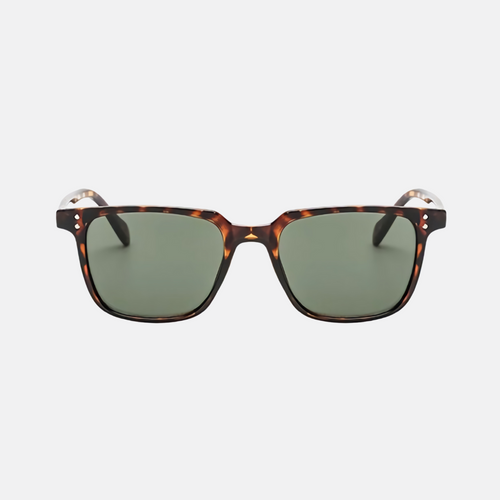 Gafas Soho - Sol